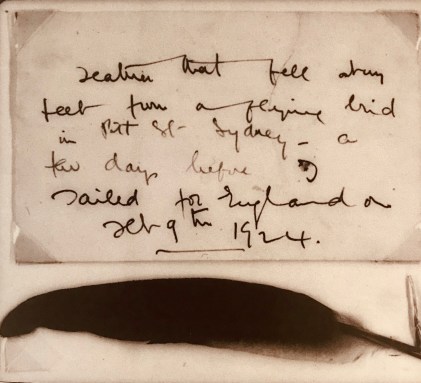 Picture of the feather